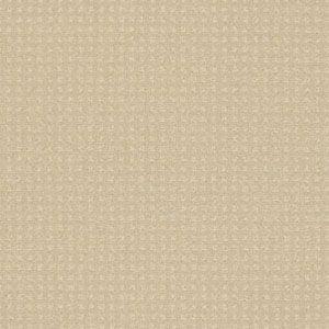 #sku_00101_E0117