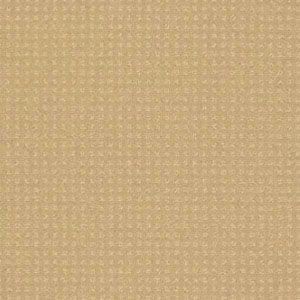 #sku_00200_E0117