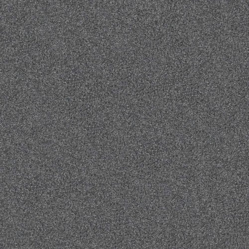 Yes You Can III 12' in Refined Carpet
