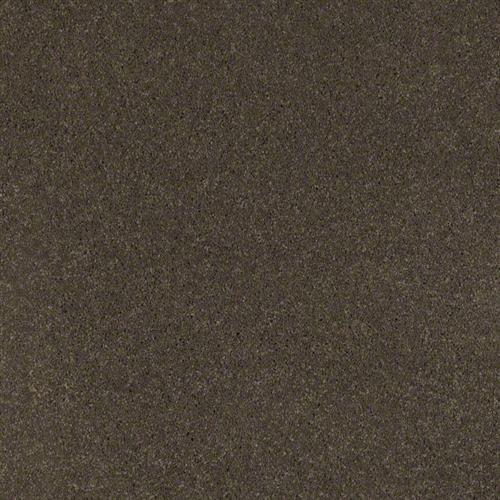 Cashmere I