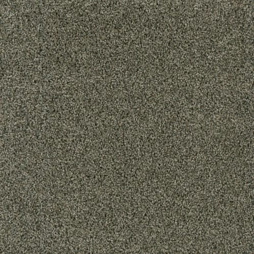 Acclaim in Midnight Shadow Carpet