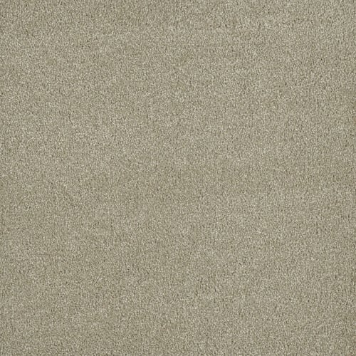 Newport III in Oak Barrel Carpet