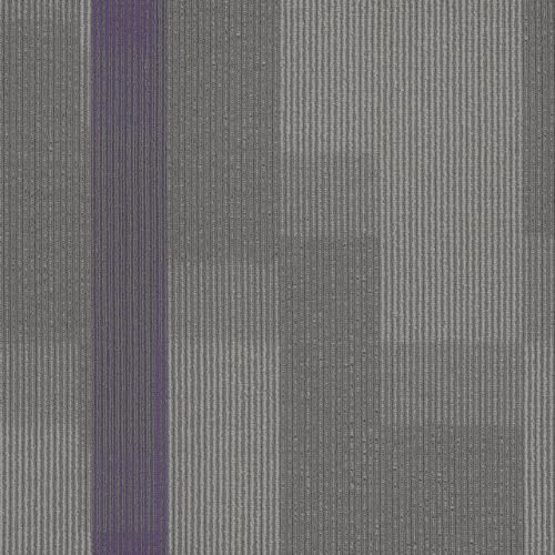 Amplify Tile