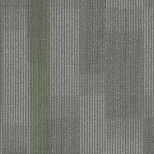 Amplify Tile