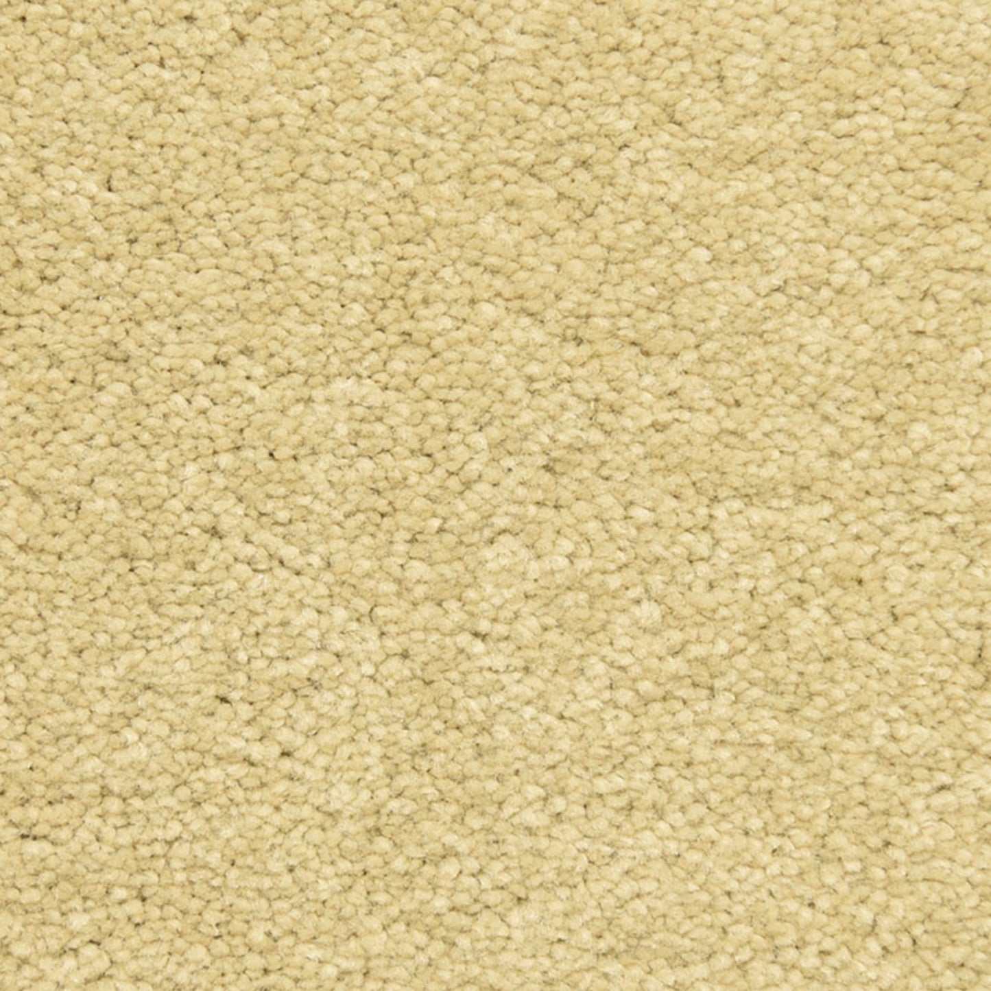 Esperanza in Desierto Carpet