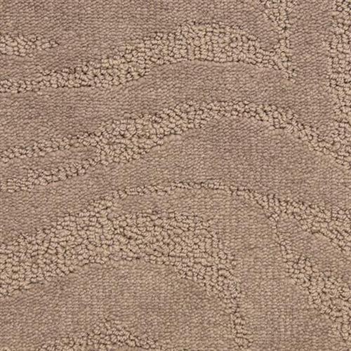 Cape Town in Shark Skin Carpet