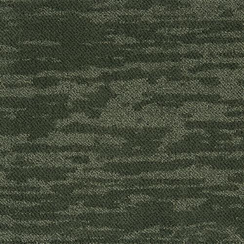 Stratus in Forrest Carpet