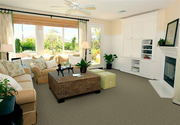 Boston Common in Clarity Carpet