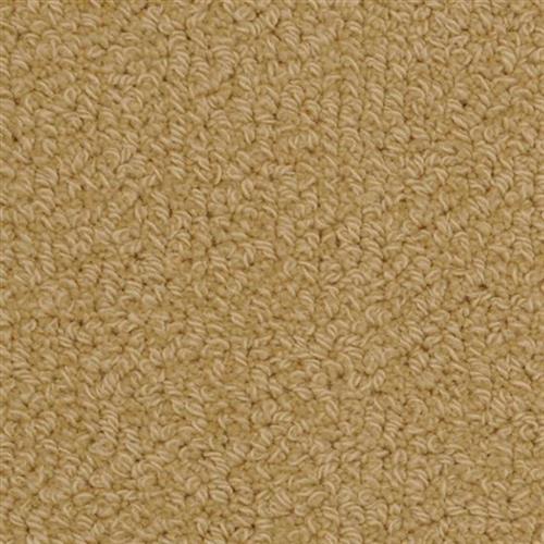 Savant in Mchugh Carpet