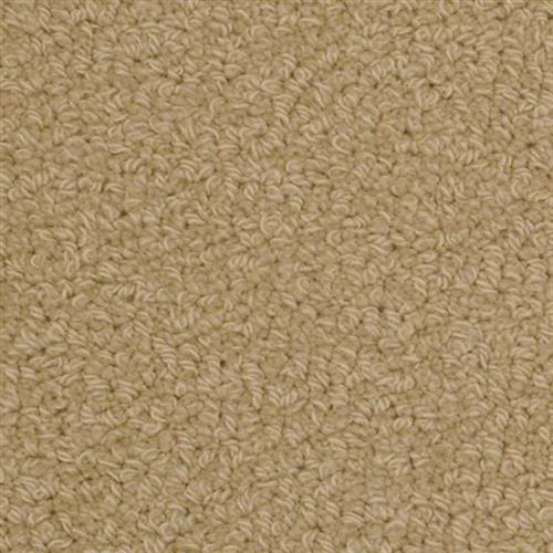 Savant in Gamm Carpet