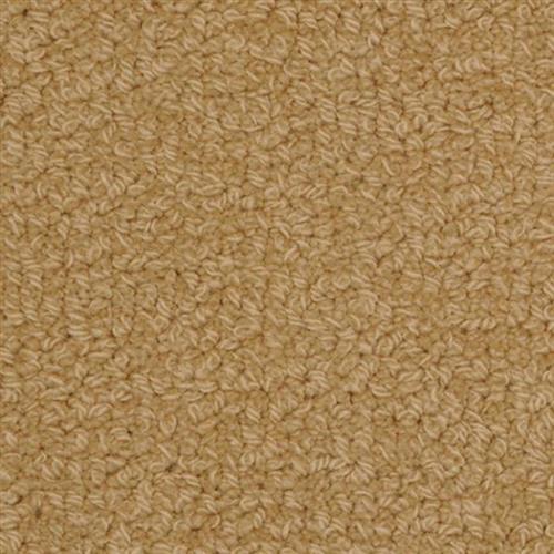 Savant in Padgett Carpet