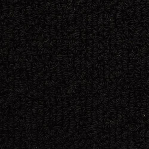 Savant in Carroll Carpet