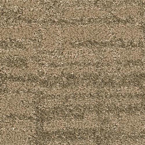 Dominique in Jackson Carpet