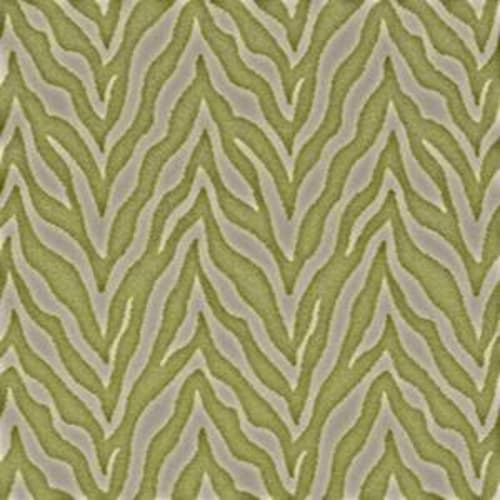 Zesty Zebra