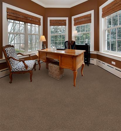 Delight in Desert Pearl Carpet