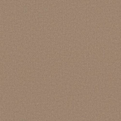 Backdrop 2 12