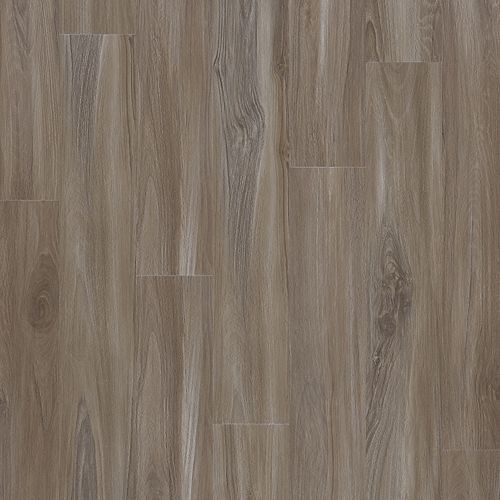 Explorers Cove in Dolphin Luxury Vinyl
