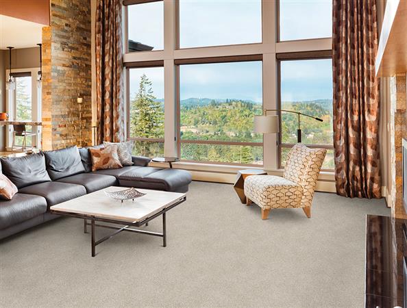 Magic Moment in Tahoe Stone Carpet