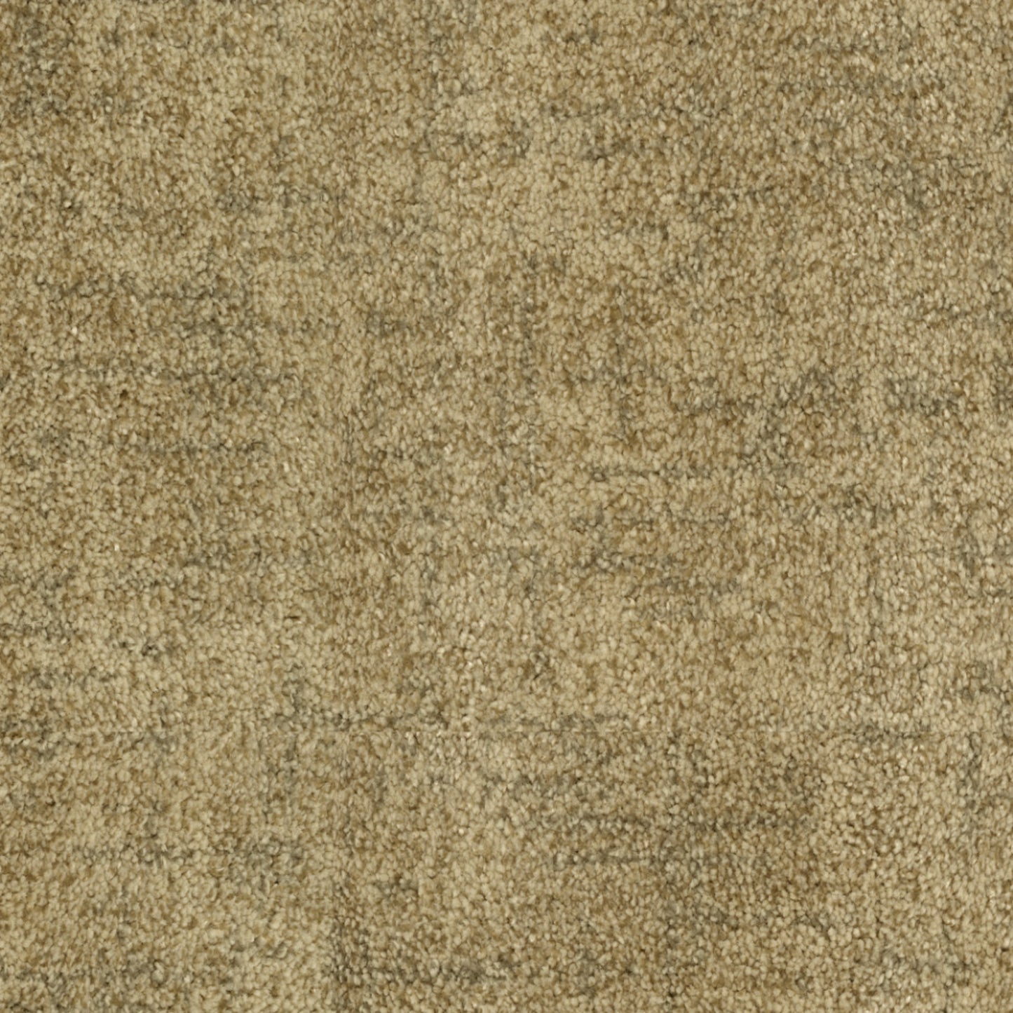 Beverly Hills in Golden Triangle Carpet