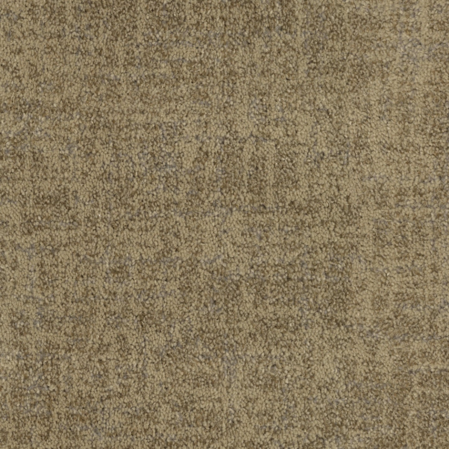 Beverly Hills in Beverly Glen Carpet
