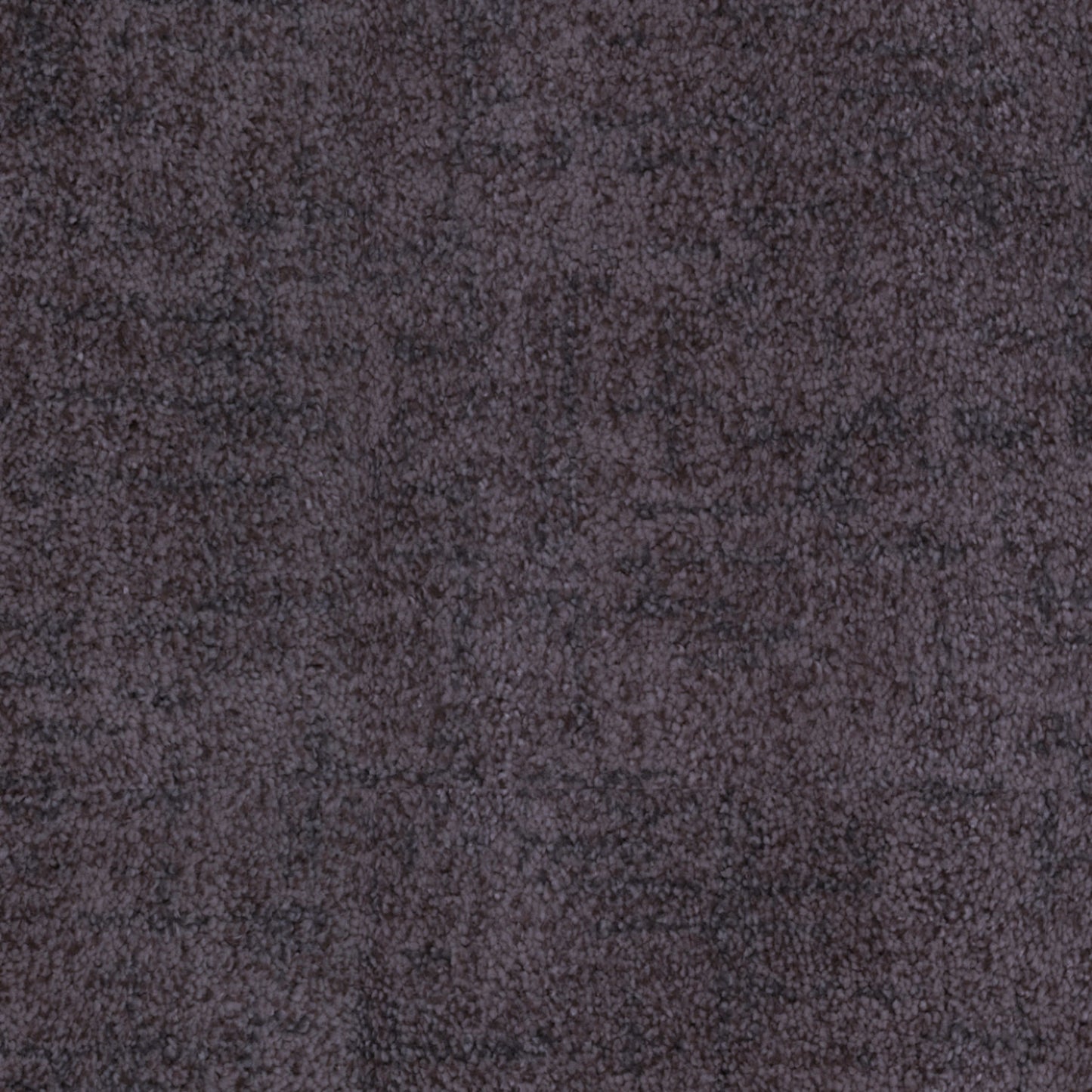 Beverly Hills in Santa Monica Carpet