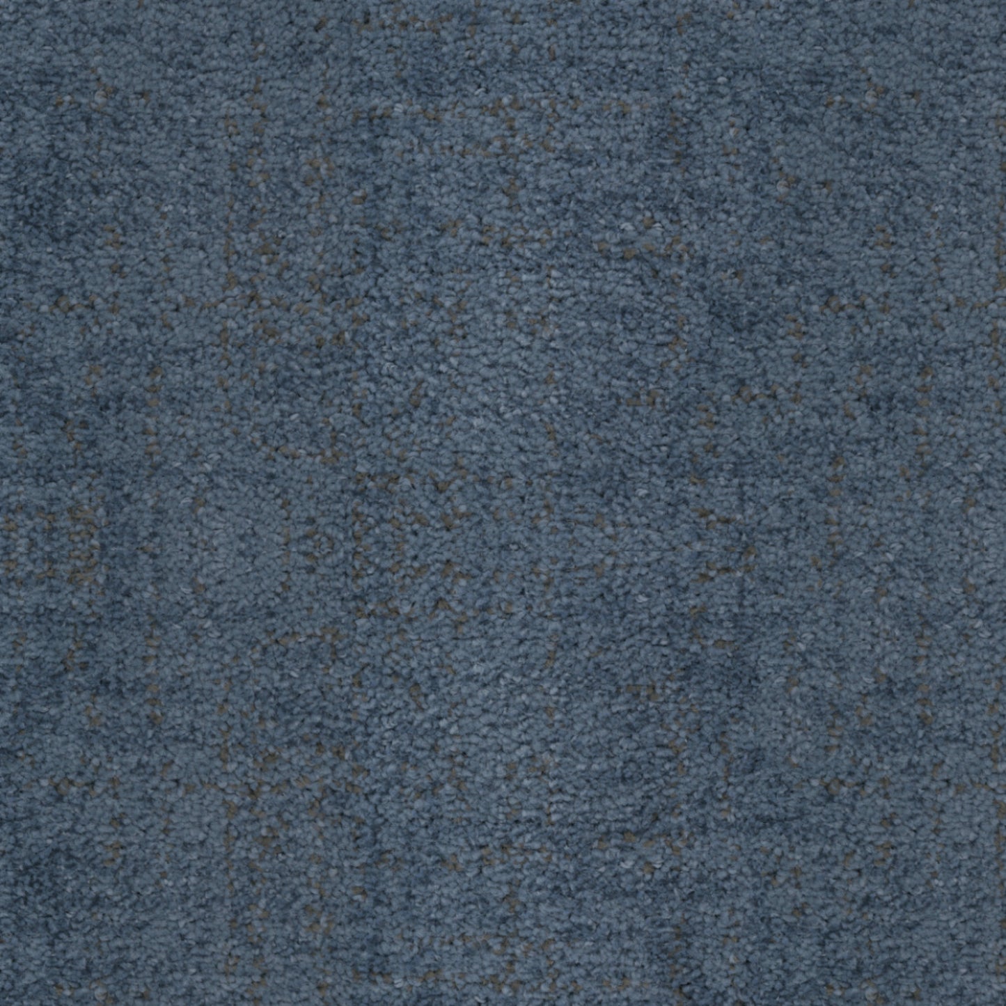 Beverly Hills in Marina Del Rey Carpet