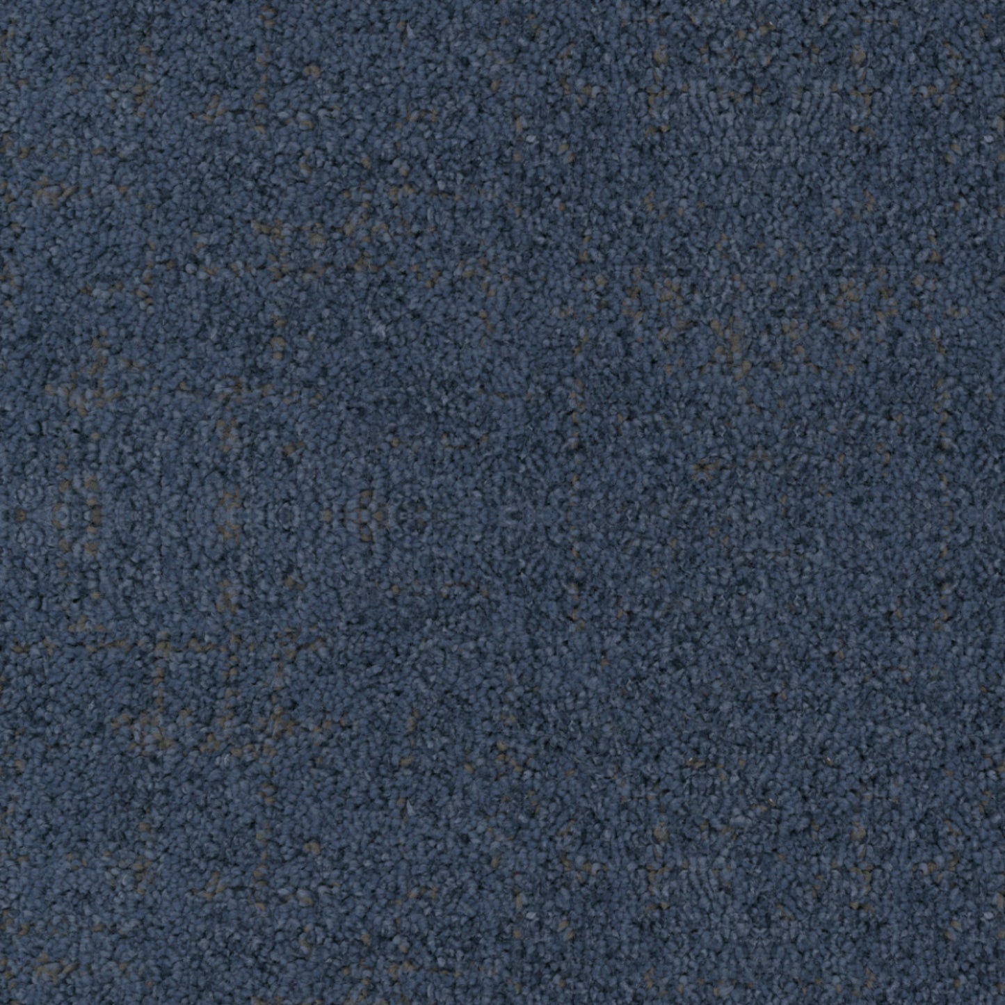 Beverly Hills in Ocean Park Carpet