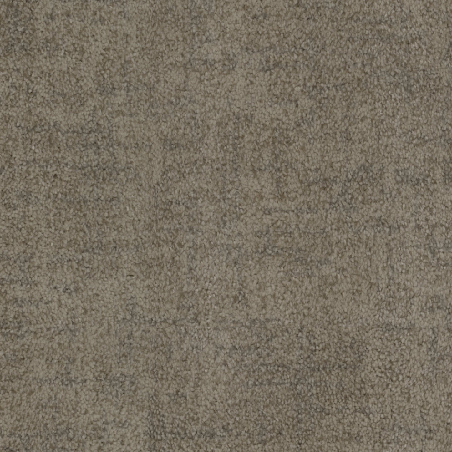 Beverly Hills in Palms Carpet
