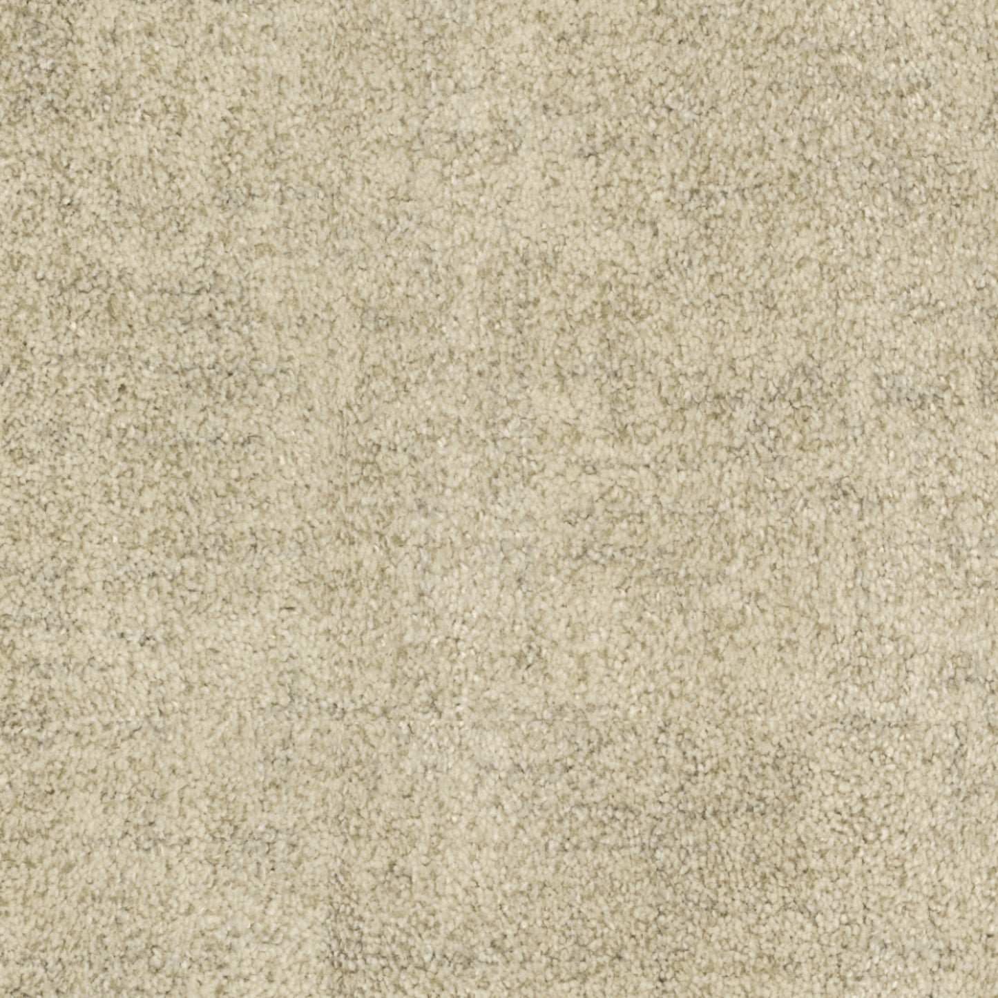 Beverly Hills in Sawtelle Carpet