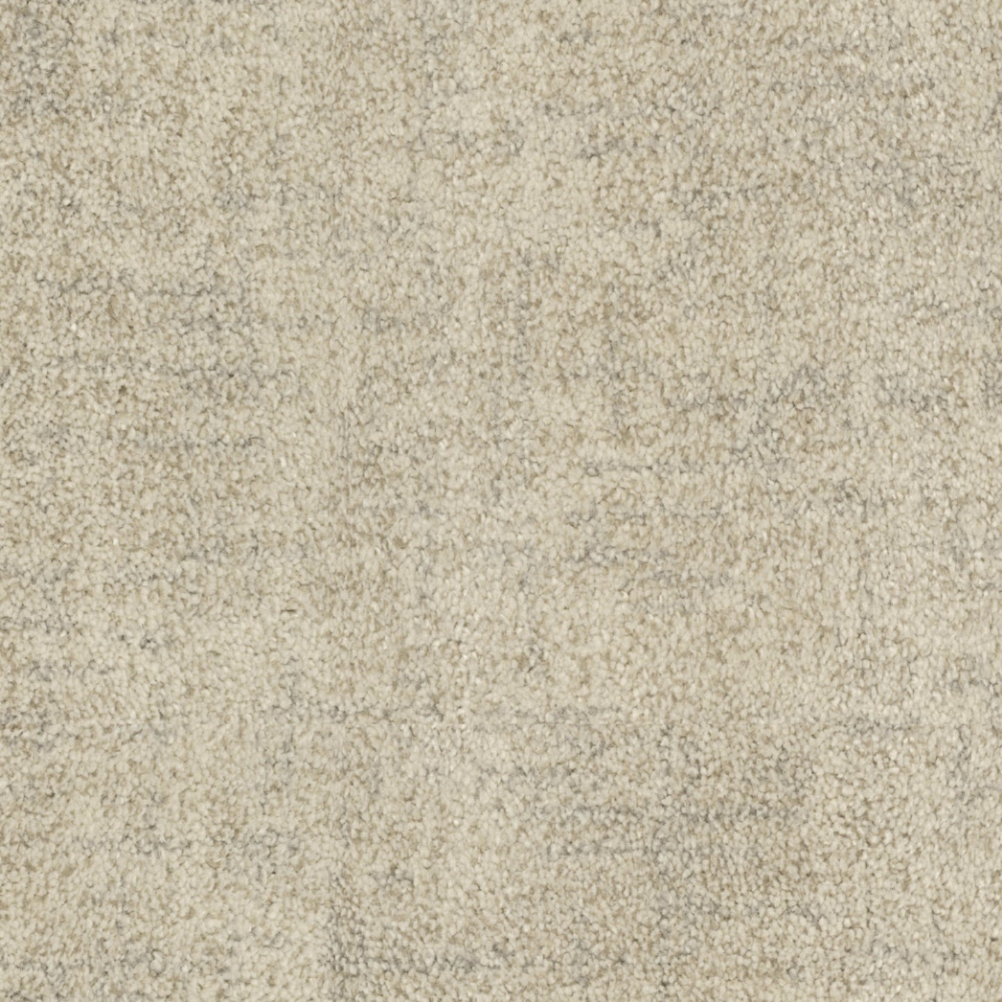Beverly Hills in West Gate Carpet