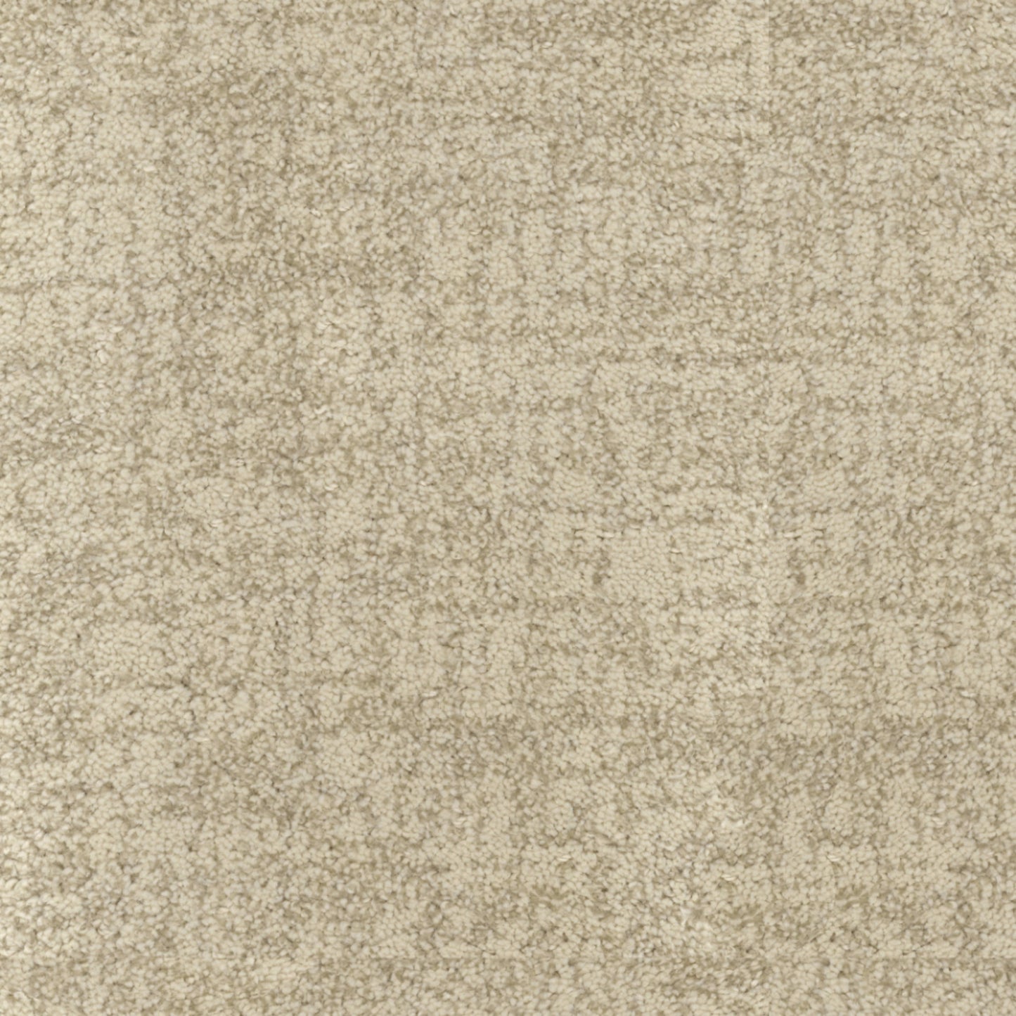 Beverly Hills in Sunset Carpet