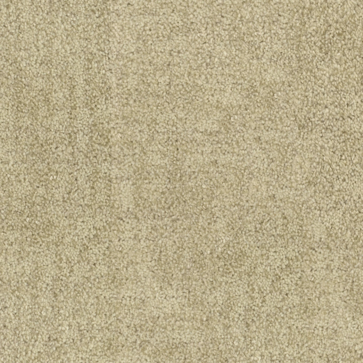 Beverly Hills in Holmby Hills Carpet