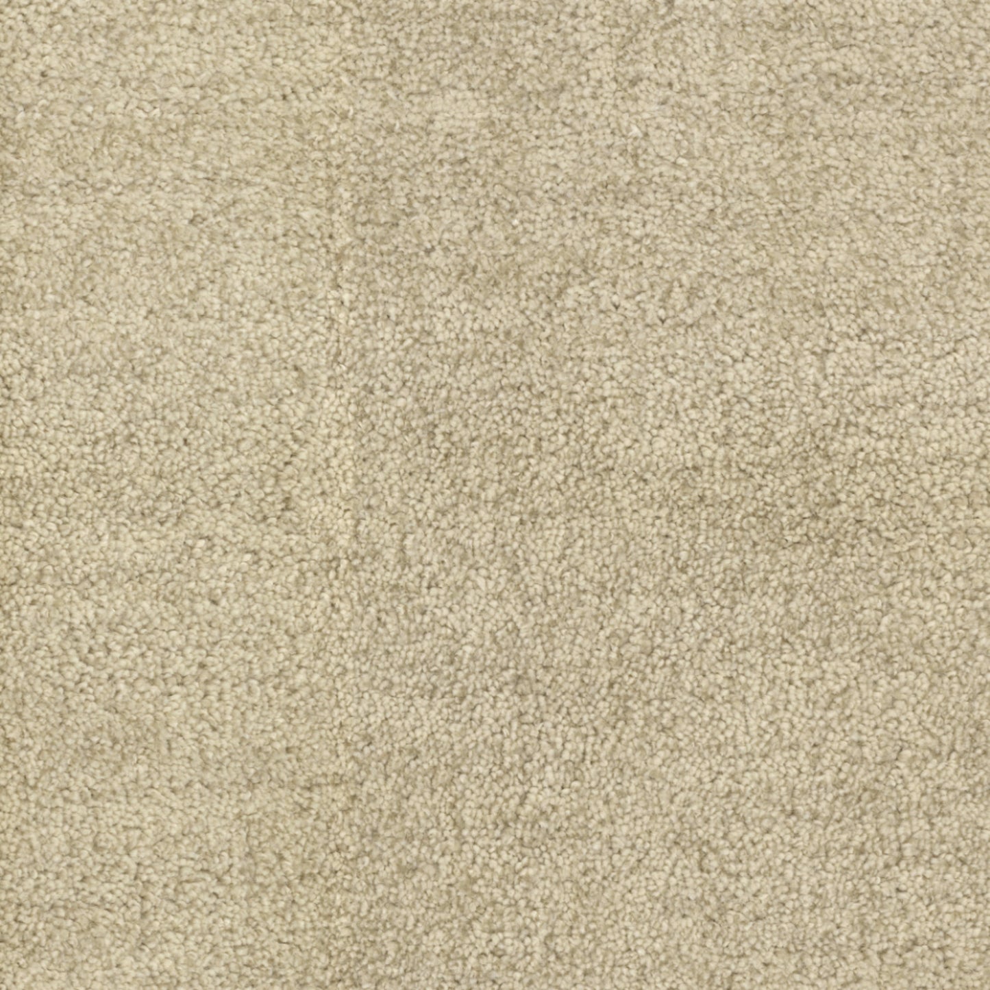 Beverly Hills in East Gate Carpet