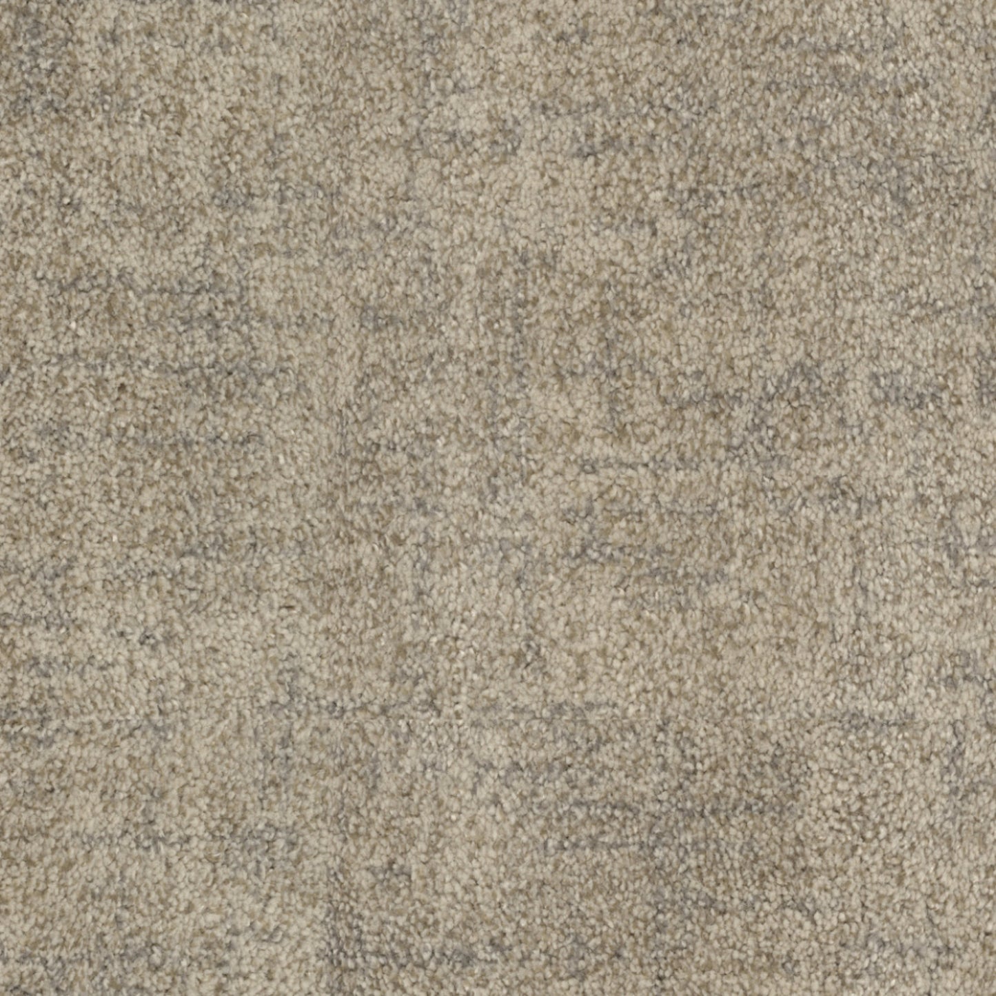 Beverly Hills in Ventura Carpet