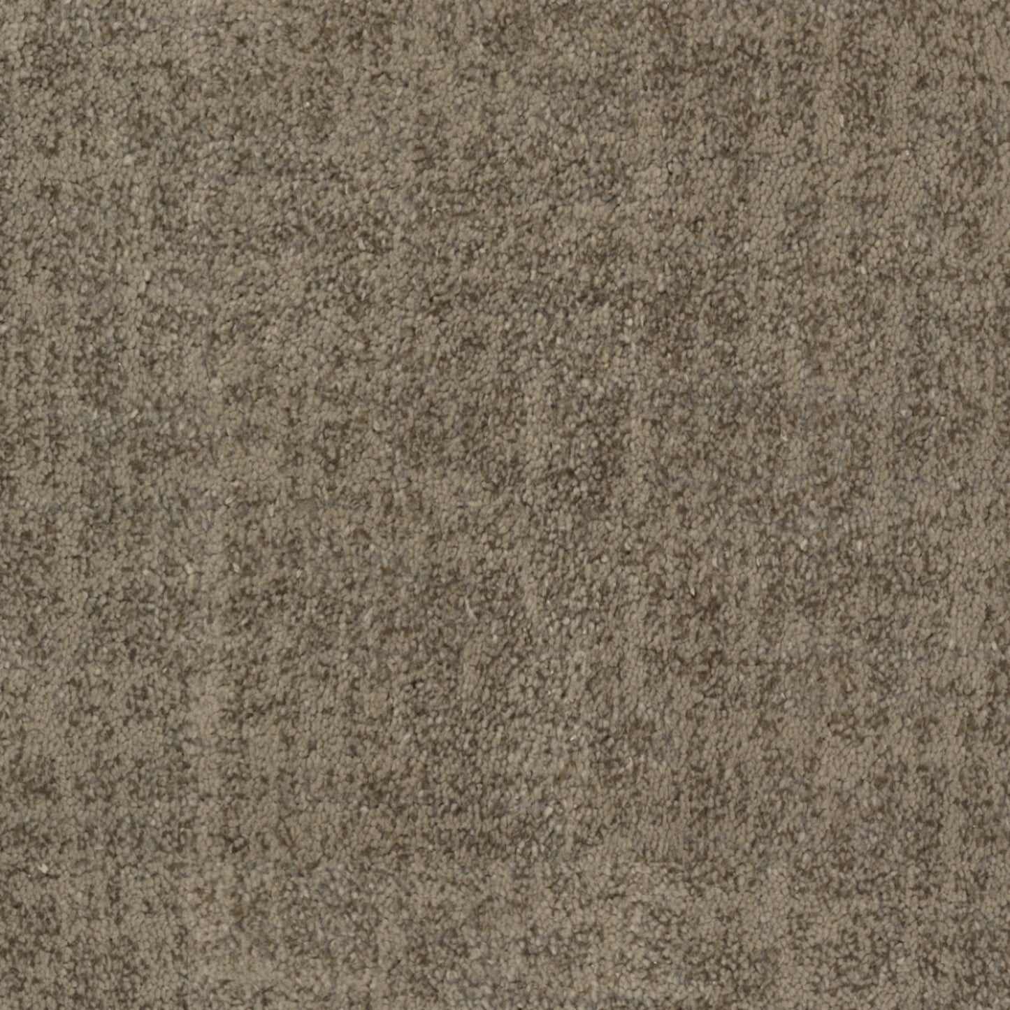 Beverly Hills in Hollywood Carpet