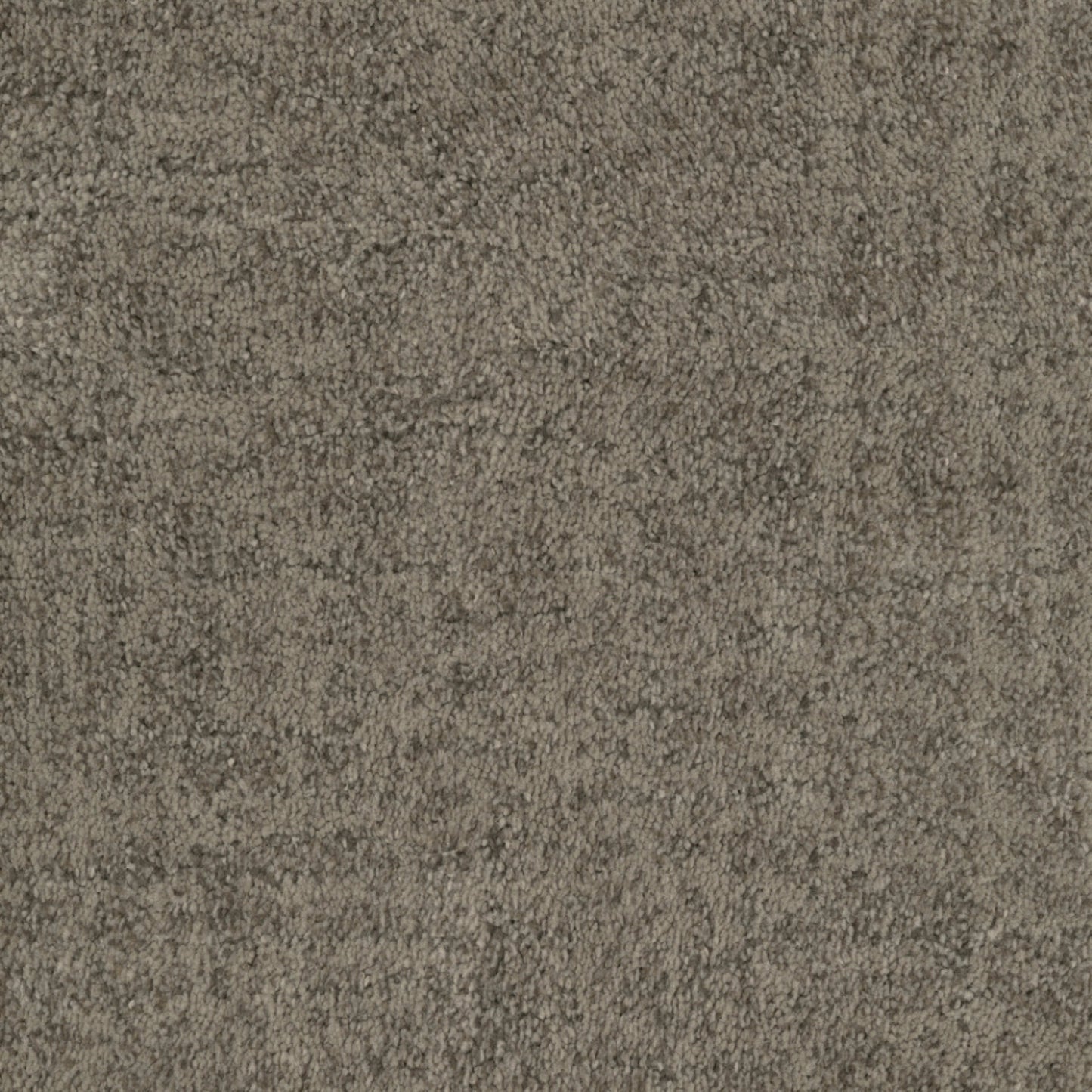 Beverly Hills in Venice Carpet