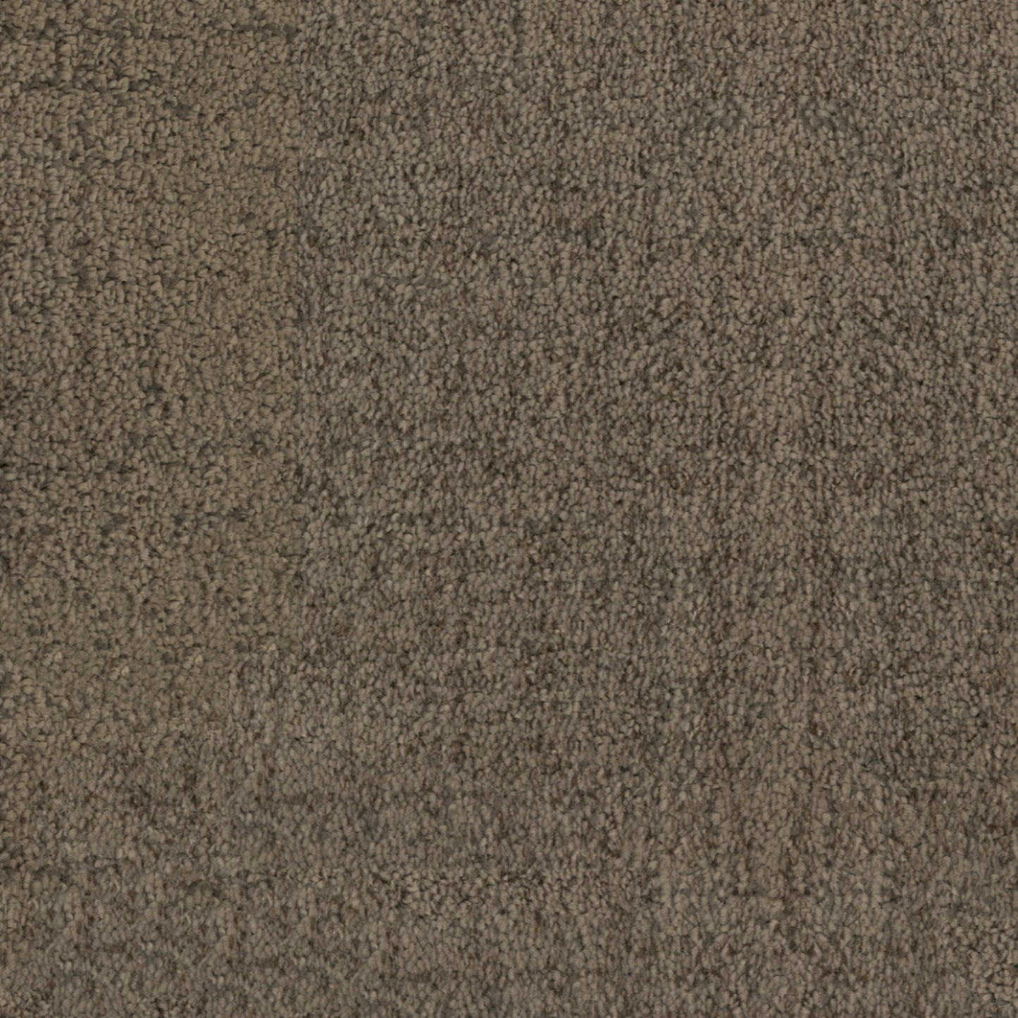 Beverly Hills in Brentwood Carpet