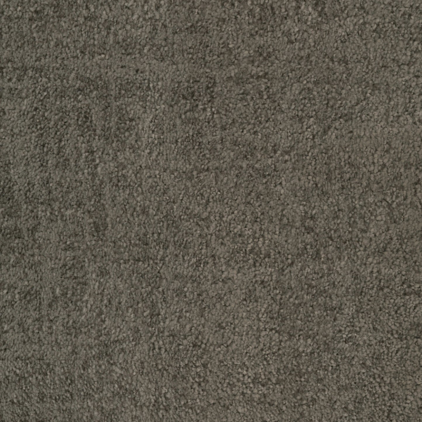 Beverly Hills in Sherman Oaks Carpet