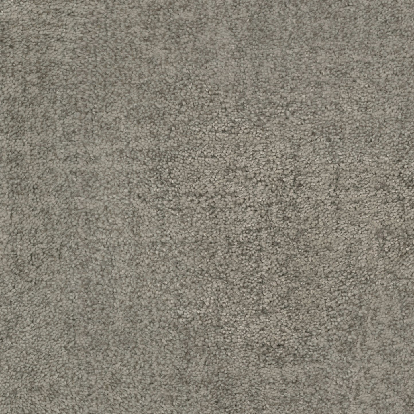 Beverly Hills in Platinum Triangle Carpet