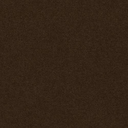 Mystique 12 in Rich Earth Carpet