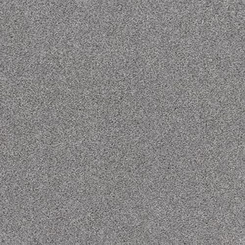 HAPPY ATTITUDE I in Silver Lining Carpet