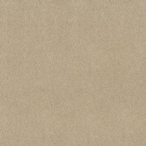 DESIGNER IMAGE I
