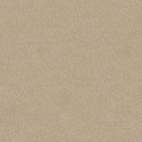 DESIGNER IMAGE II