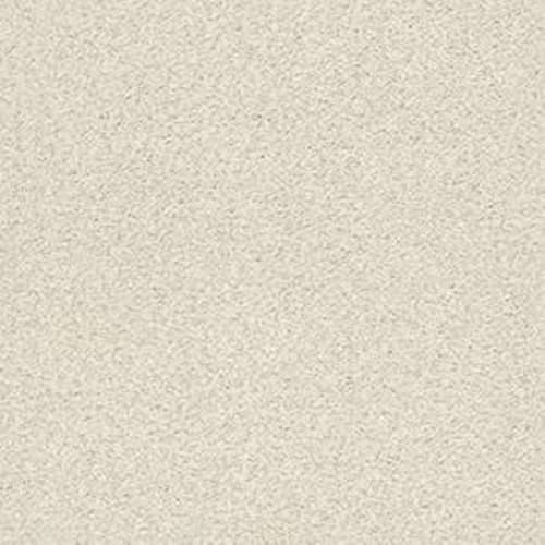 DESIGNER IMAGE II