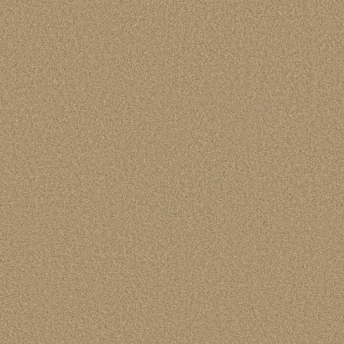 DESIGNER IMAGE II