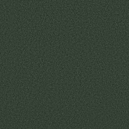 DESIGNER IMAGE II