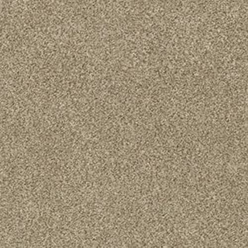 DESIGNER IMAGE II