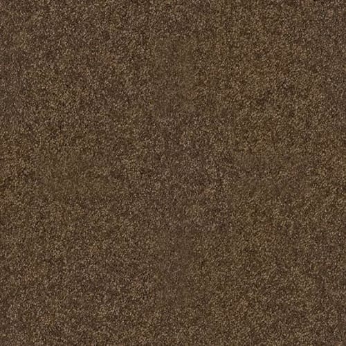 ALLURED CLASSIC II