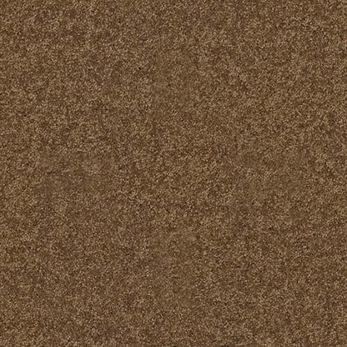 ALLURED CLASSIC II