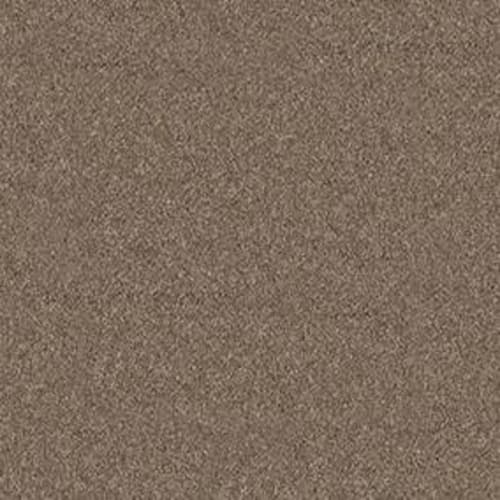 ALLURED CLASSIC II